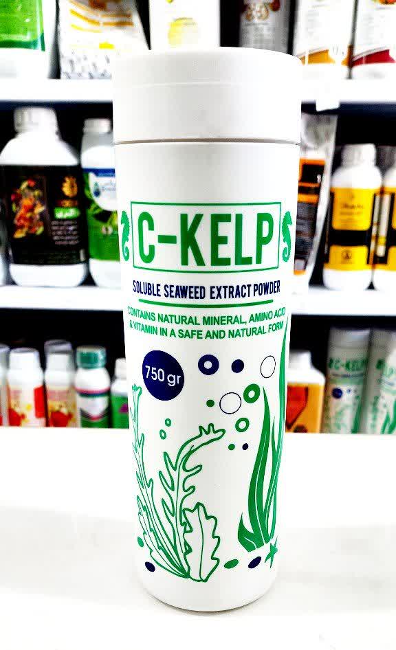 جلبک دریایی سی‌کلپ مکزیکی ۷۵۰ گرمی | افزایش رشد گیاه و بازده محصول