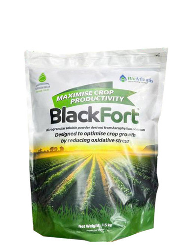 جلبک دریایی بلک فورد ۱.۵ کیلویی پودری (ایرلندی)