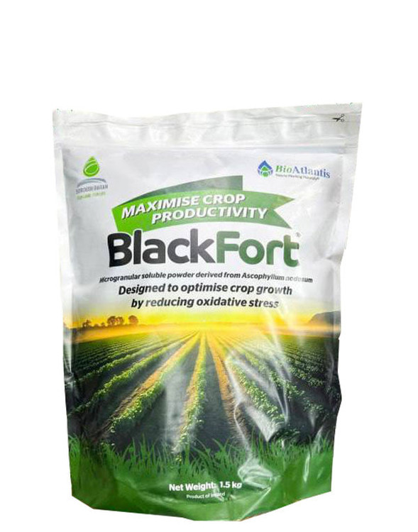 جلبک دریایی بلک فورد ۱.۵ کیلویی پودری (ایرلندی)