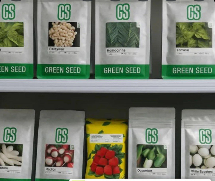 پکیج بذر سبزیجات – مناسب گلدان و باغچه | ارسال سریع